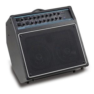 Right wedge angle view of Acoustic AG60 60W Acoustic Guitar Combo