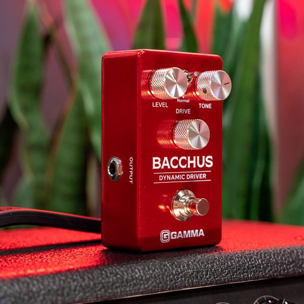 Gamma Bacchus dynamic drive pedal standing on top of amplifier.