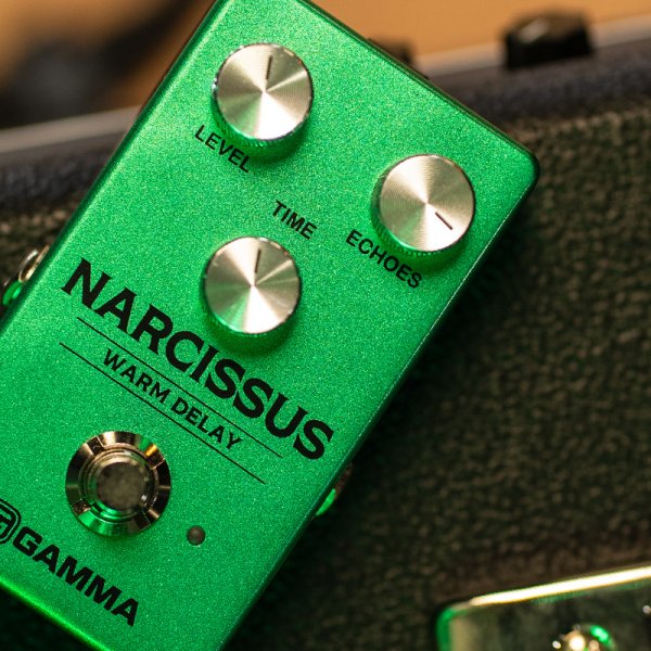 Gamma Narcissus warm delay pedal on top of amplifier close up.